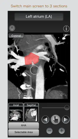 Game screenshot CT Passport Heart / MRI hack