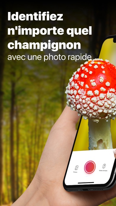 Picture Mushroom - Mushroom ID Picture Mushroom - Mushroom ID