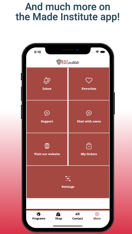 The M.A.D.E. Institute screenshot-3