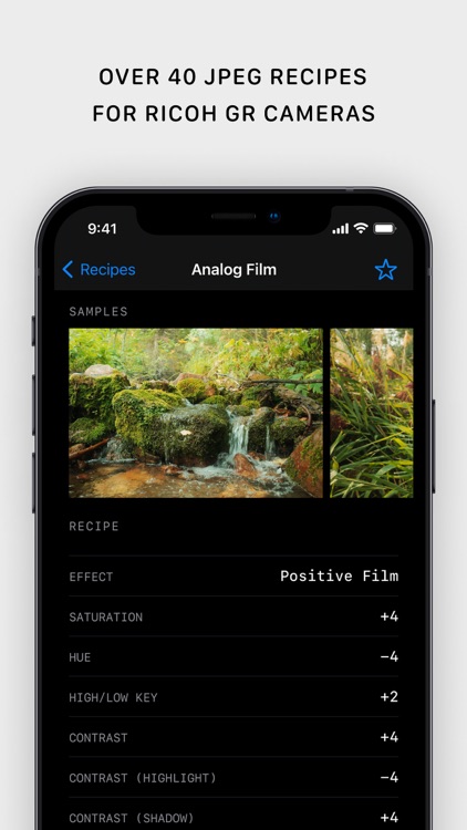 Ricoh Recipes — JPEG Settings