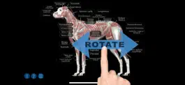 Game screenshot Dog Anatomy: Canine 3D mod apk