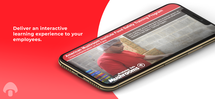 Cross-contamination F English