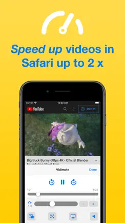 Vidimote for Safari iPhone image 1