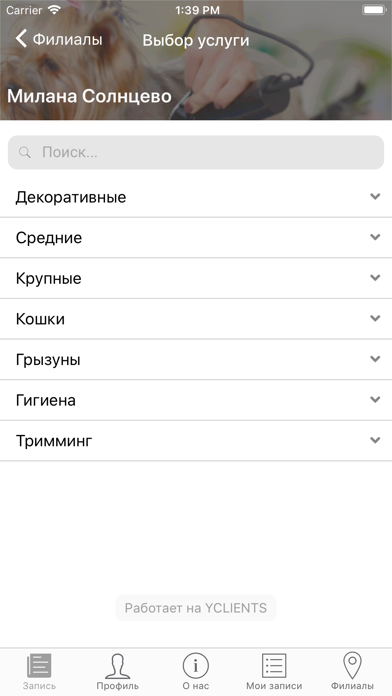 Милана стрижка собак и кошек screenshot 4