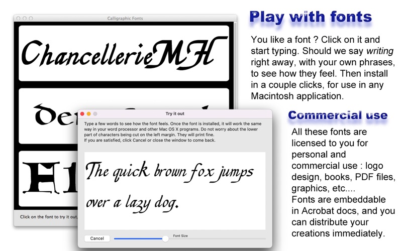 calligraphic fonts problems & solutions and troubleshooting guide - 2