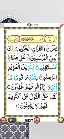 Game screenshot Surah Yaseen with Sound apk