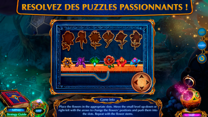 Screenshot #3 pour Labyrinths of World: Le Jeu