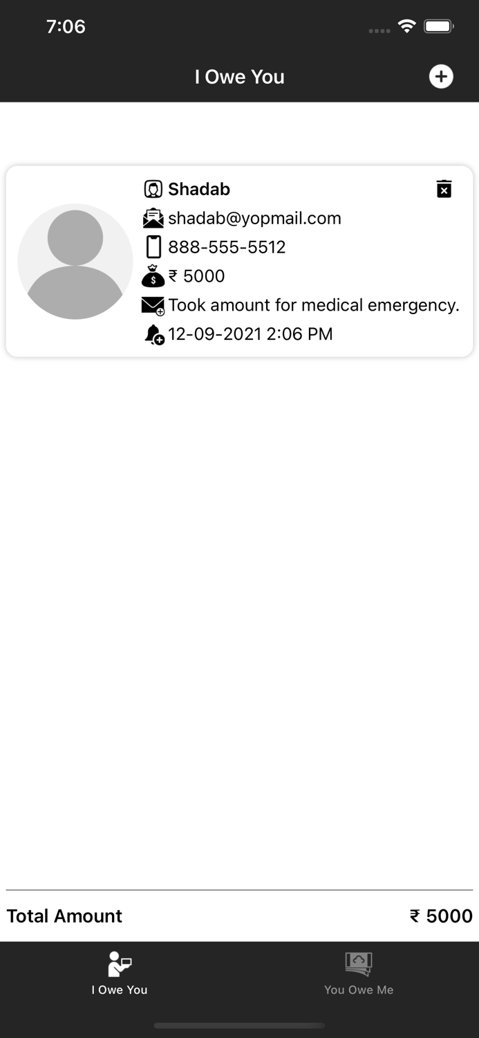 Debt Manager - Finance