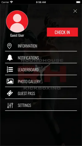 Game screenshot Roundhouse Kickboxing hack