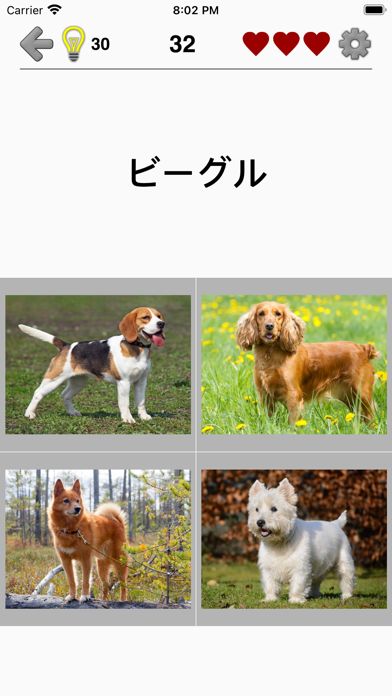 犬 - 写真付きクイズ、犬の品種一覧のおすすめ画像4