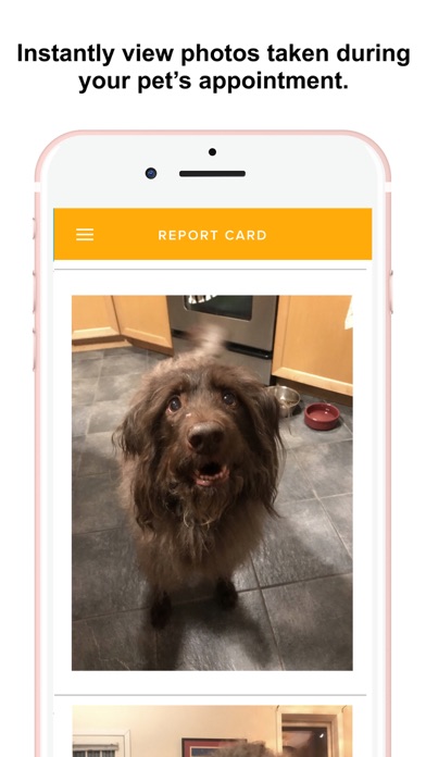 Maggie's Mates Screenshot