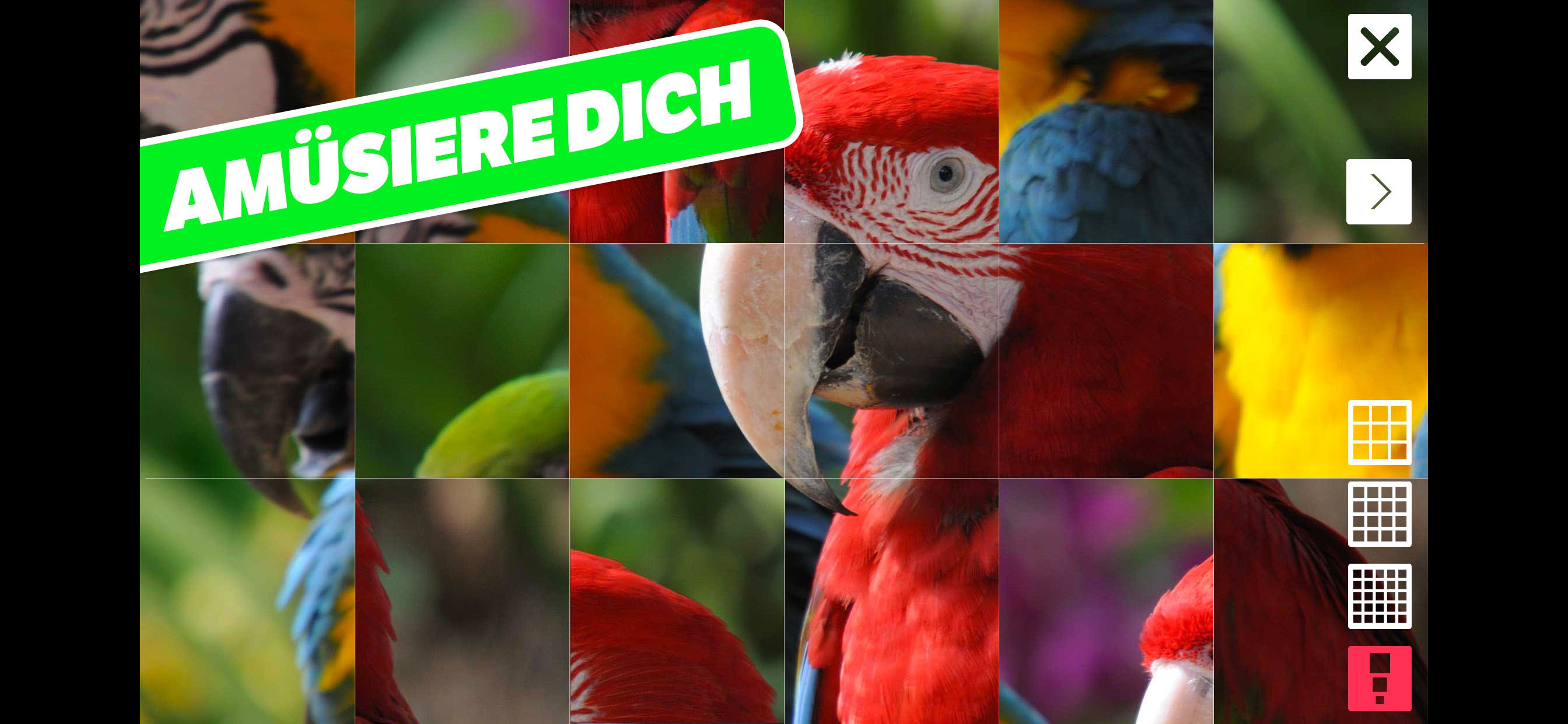Tierlaute, Fotos und Infos