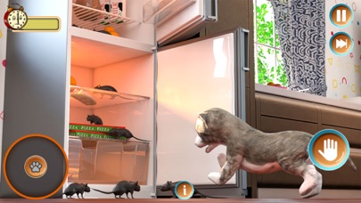 My Cute Pet Cat Simulator Game Screenshot