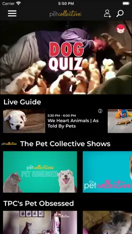 Game screenshot The Pet Collective mod apk