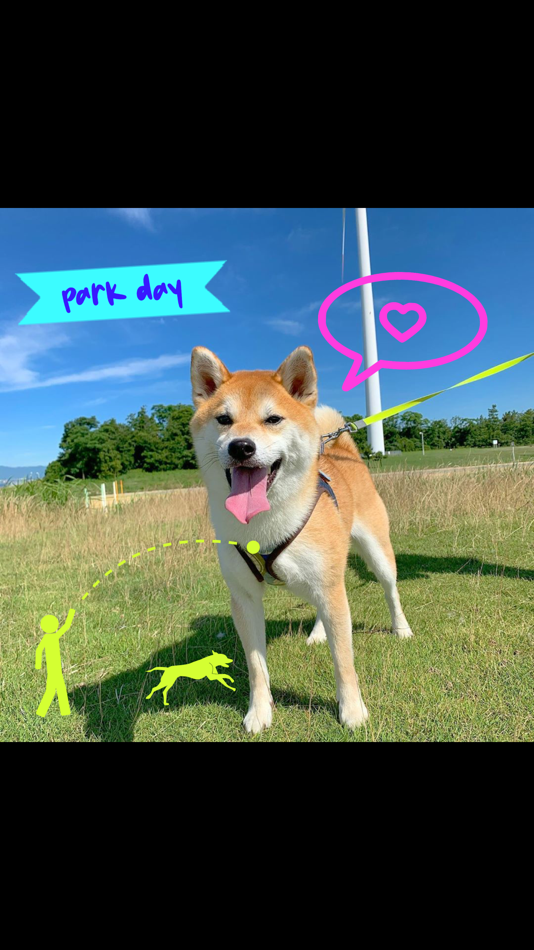 #9. MyPuppy: Cute Dog Photo Maker (iOS) 由: T-Logic