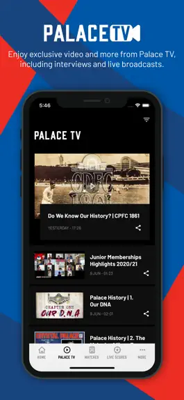 Game screenshot Crystal Palace FC hack