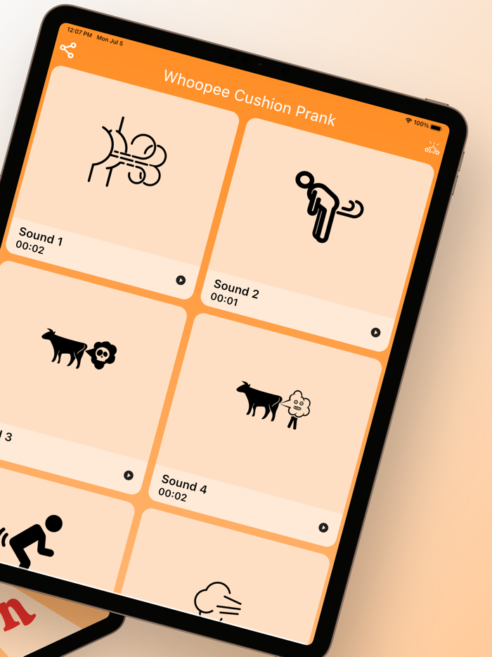 Whoopee Cushion Sound