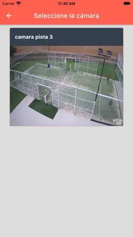 Game screenshot WitimSport hack