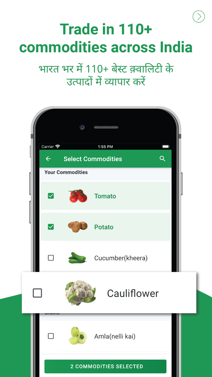 Bijak Agri Trade and Mandi Bhav