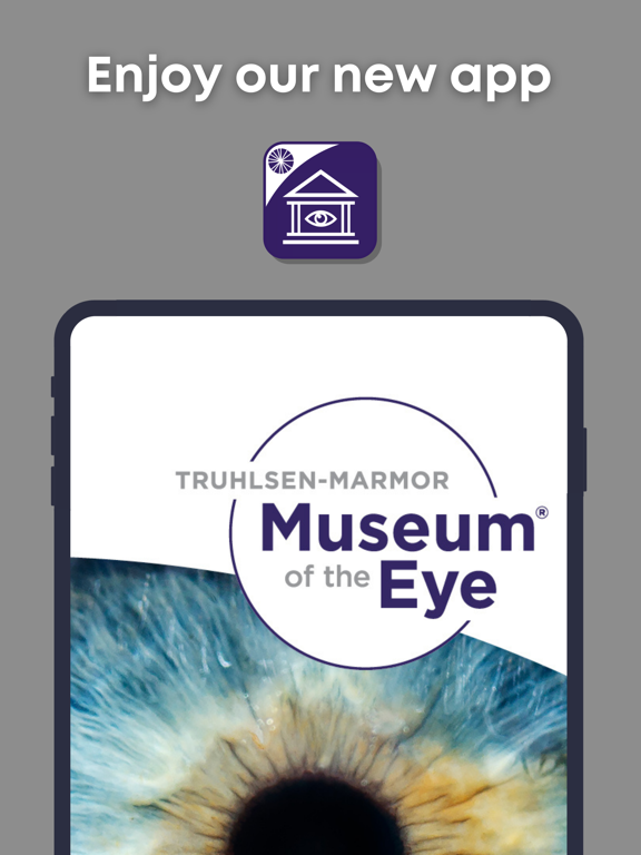 Screenshot #4 pour Museum of the Eye