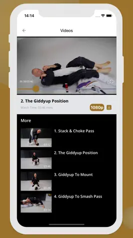 Game screenshot BJJ Old Man Style hack