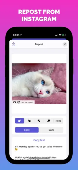 Game screenshot InstRepost - Photos & Videos mod apk