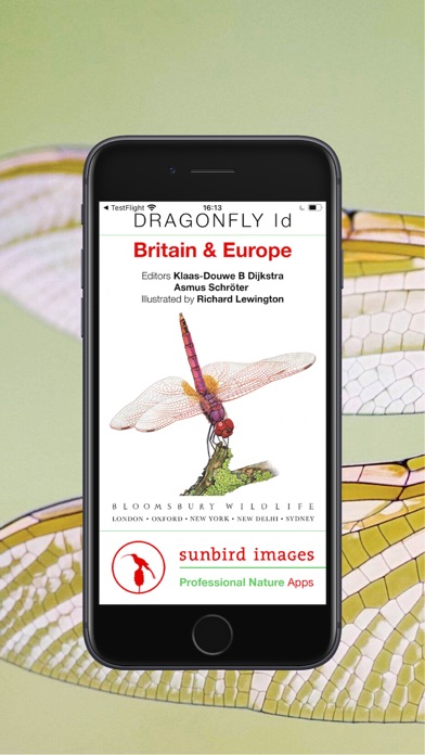 Dragonfly Id Britain & Europe Screenshot
