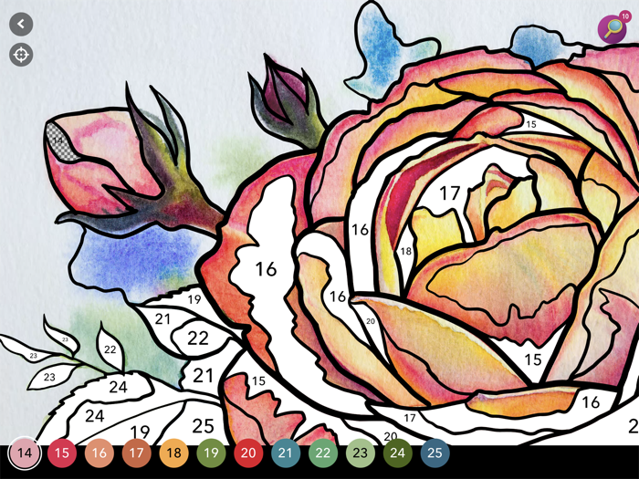 Home Design Challenge