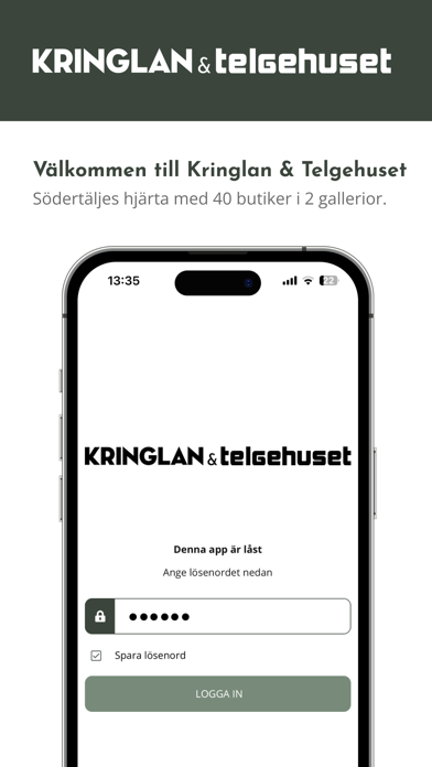 Kringlan & Telgehuset Intern Screenshot
