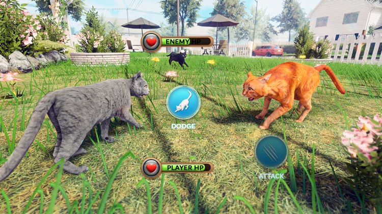 My Cute Pet Cat Life Simulator