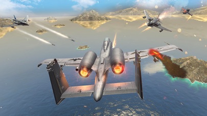 Fighter Jet : Modern Warplanes Screenshot