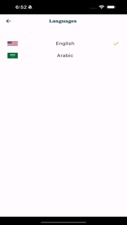 MR IT Agent screenshot-9