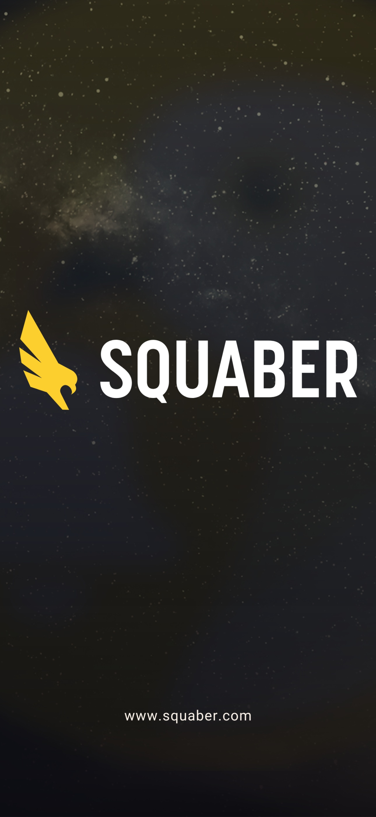 Squaber - stock alerts