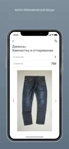 Химчистка с доставкой Limon screenshot #5 for iPhone