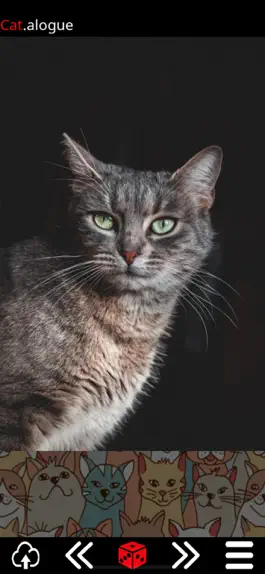 Game screenshot Cat.alogue apk