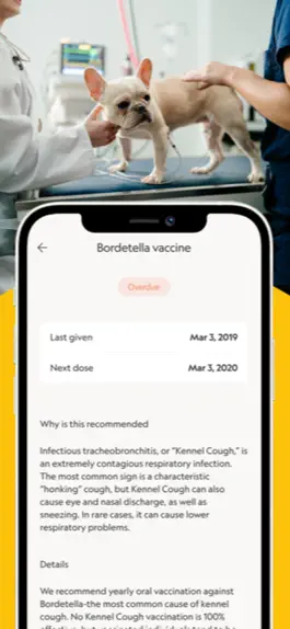 Game screenshot GoodVets apk