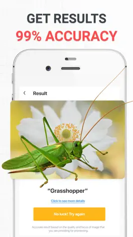 Game screenshot Insect photo Identifier AI apk