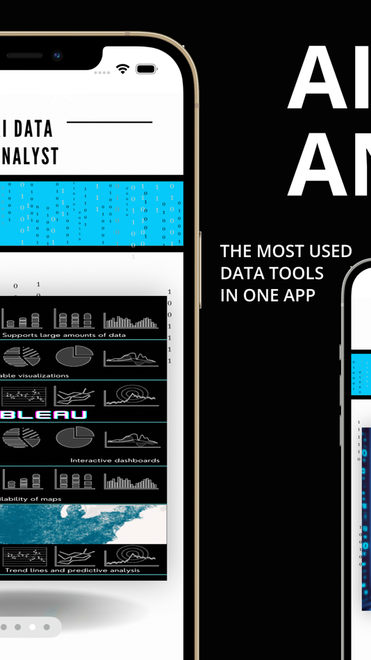 #2. AI Data Analyst (iOS) 게시자: Rita Merhi