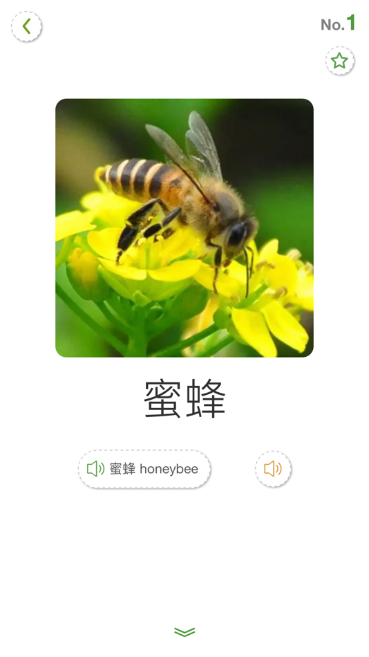 #8. 动物大全 (iOS) 由: 春生 熊