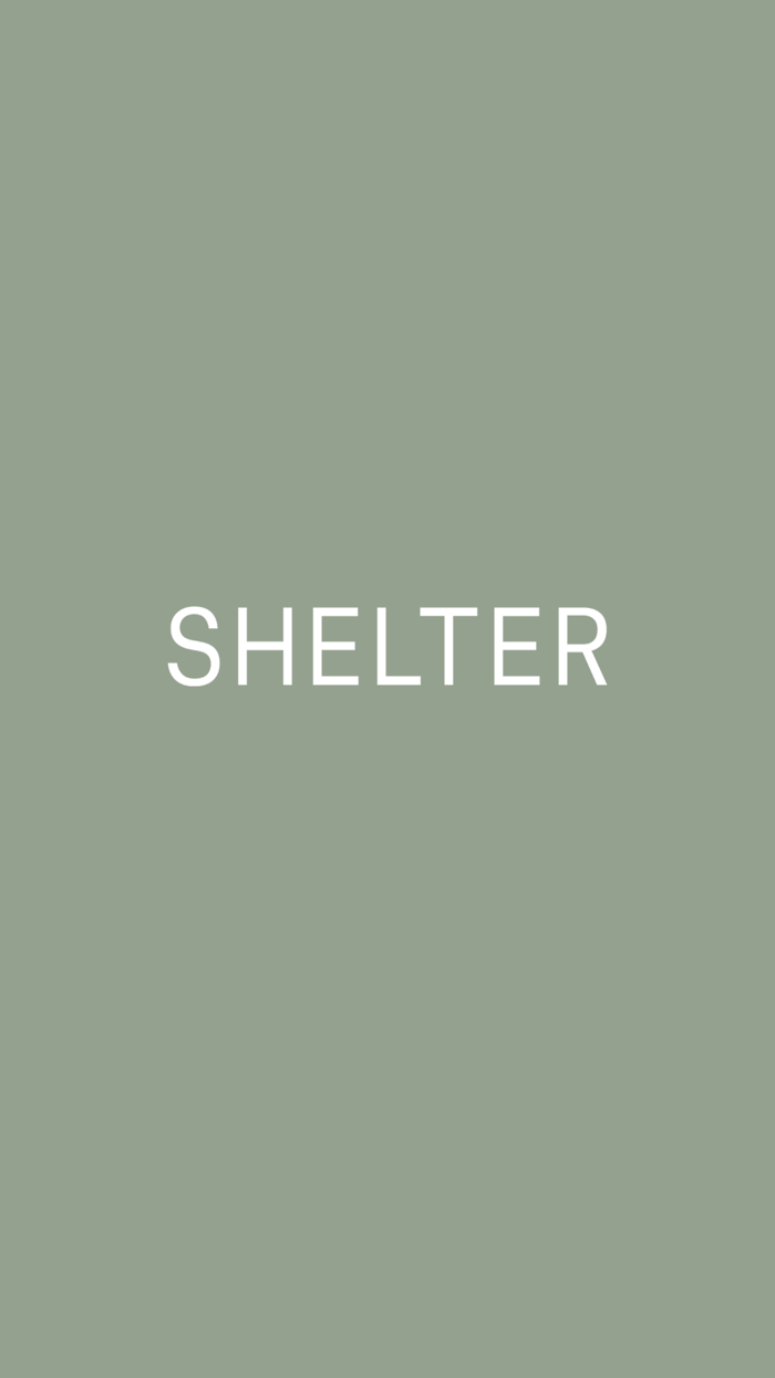 SHELTER - SYDNEY