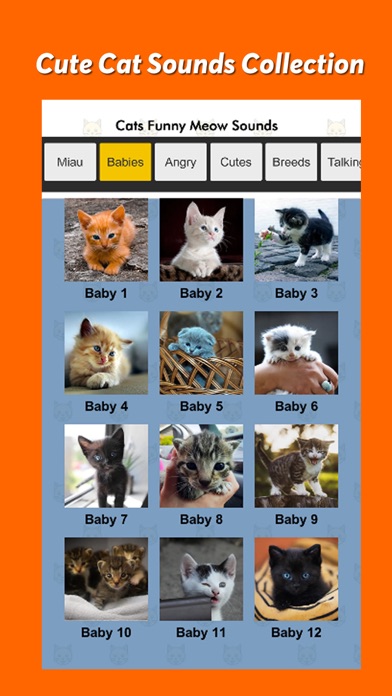 Cats Funny Meow Sounds Screenshot