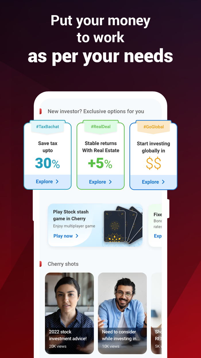 Cherry MF Stocks and Bonds