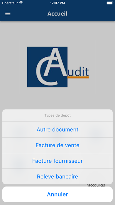 Mon Expert-Comptable Screenshot