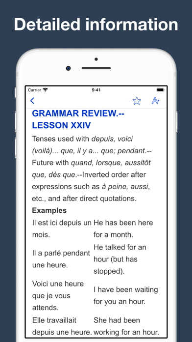 French Grammar and Vocabulary Screenshot
