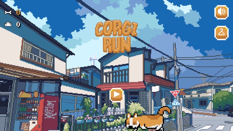 Corgi Run