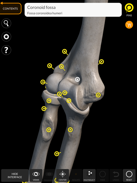 Skeleton 3D Anatomy iPad screenshot 8 - Medical app