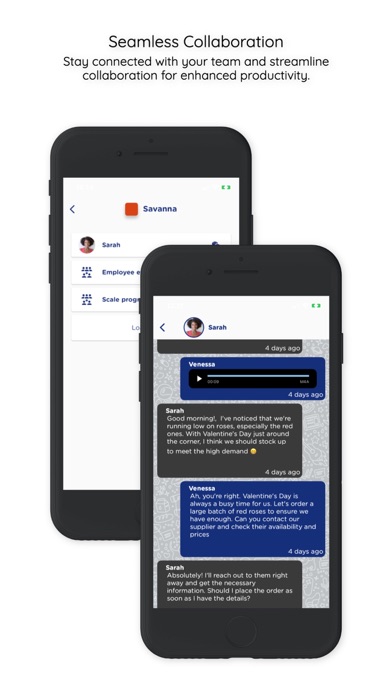 BizBoost Screenshot