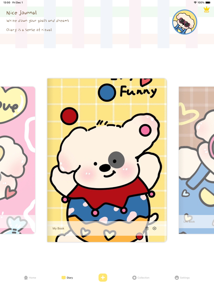 Nice journal - diary journal