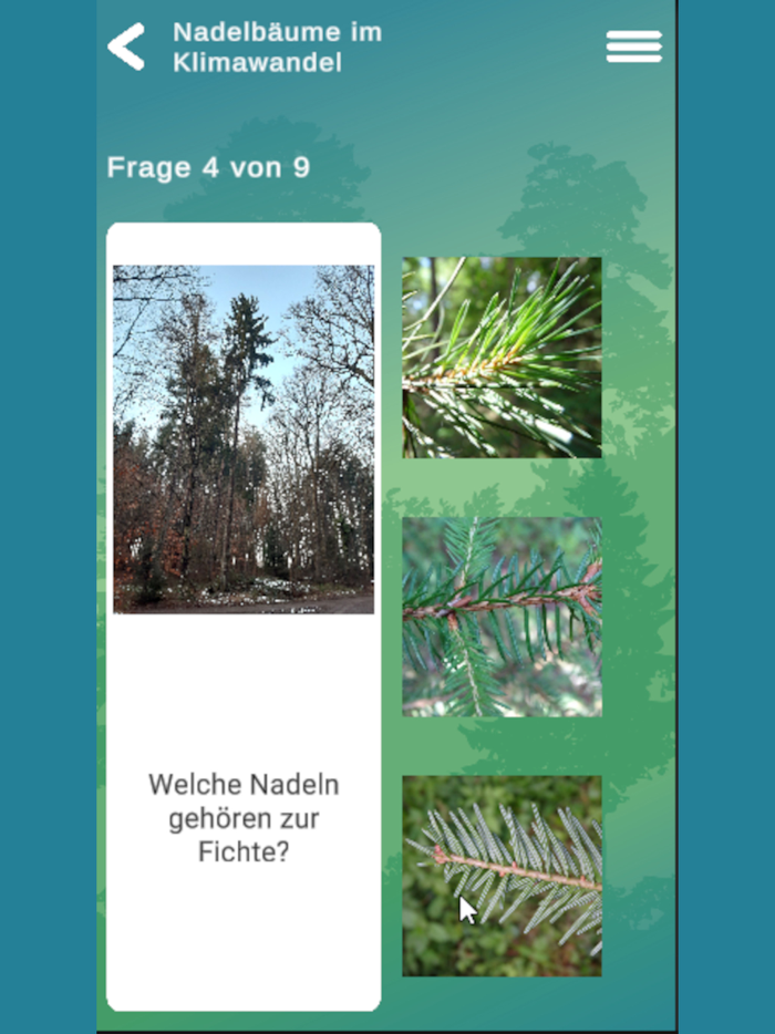 Walderlebnis Enzkreis