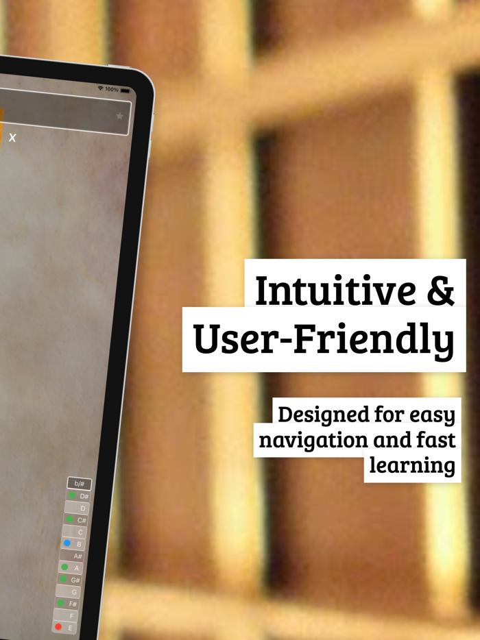 FretBoard Chords and Scales